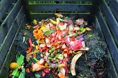 Compost Sigidurs